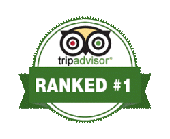 Tripadvisor Ranked #1 logo with the owl symbol and green banner indicating top ranking.