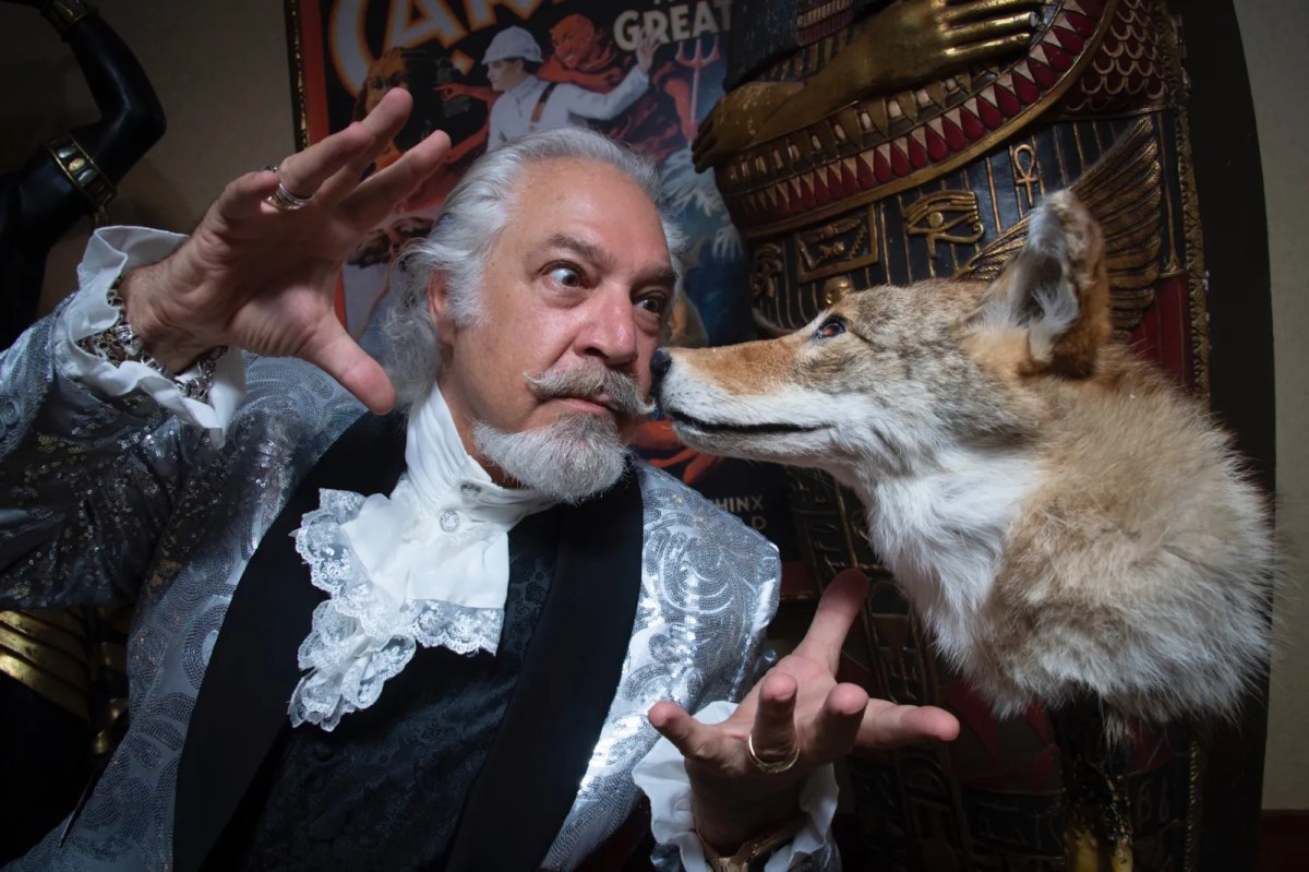 MMS-HSA-Article-V2-1 Elderly man in ornate costume interacts with a coyote taxidermy.