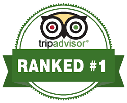 Tripadvisor Travelers’ Choice